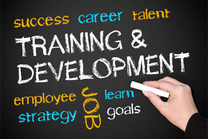 آموزش و توسعه / Training & Development
